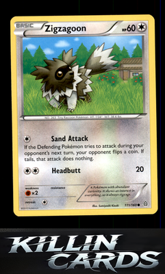 Zigzagoon 111/160 Pokemon Common XY - Primal Clash Card NM