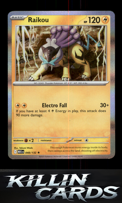 Raikou 048/132 Pokemon Rare ME01: Mega Evolution Card NM