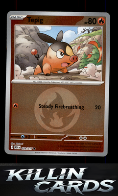 Reverse Holofoil Tepig (Energy Symbol Pattern) 029/217 Pokemon Common ME: Ascend