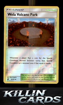 Wela Volcano Park 63/70 Pokemon Uncommon Dragon Majesty Card NM