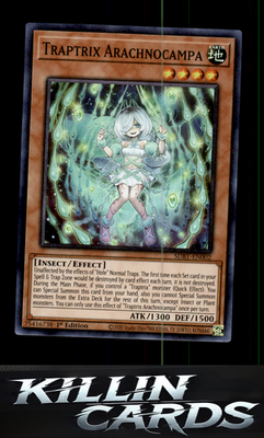 1st Edition Traptrix Arachnocampa SDBT-EN002 YuGiOh Super Rare Structure Deck: B