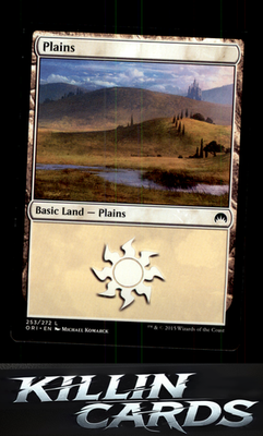 Plains (253) 253 Magic L Magic 2015 (M15) Card NM