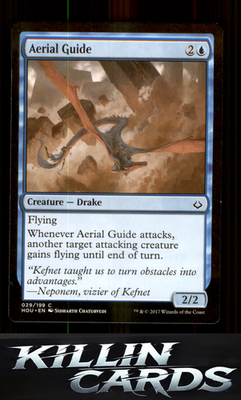 Aerial Guide 29 Magic C Hour of Devastation Card NM