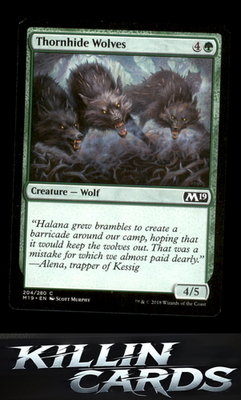 Thornhide Wolves 204 Magic C The List Reprints Card NM
