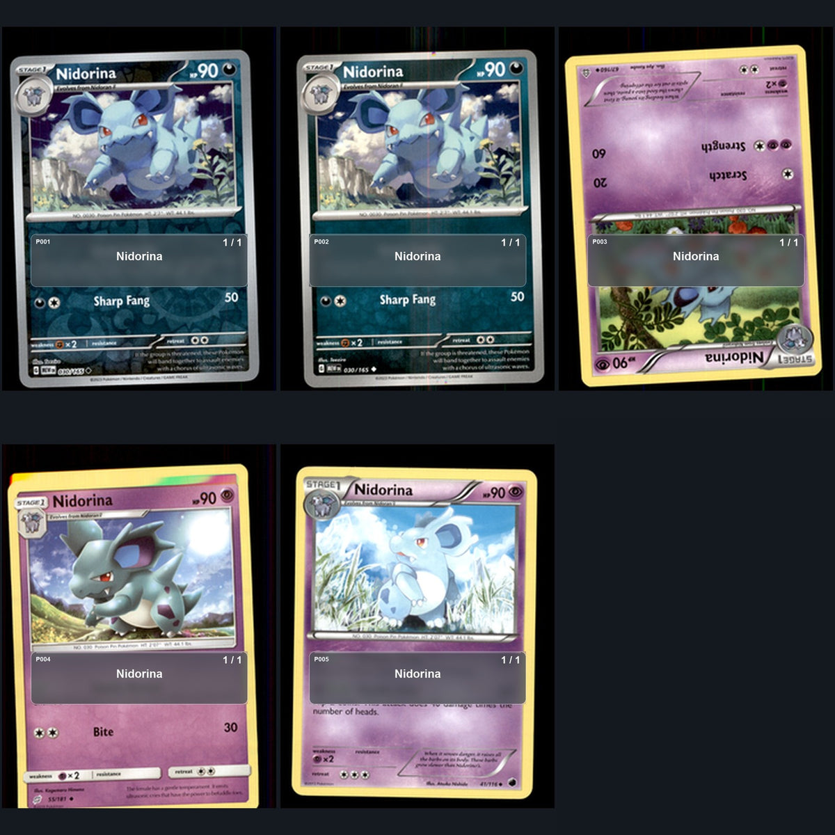 Pokemon TCG Nidorina Species Collection 5 Different Cards