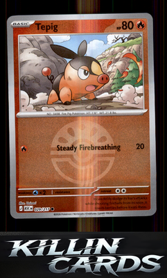 Reverse Holofoil Tepig (Friend Ball) 029/217 Pokemon Common ME: Ascended Heroes