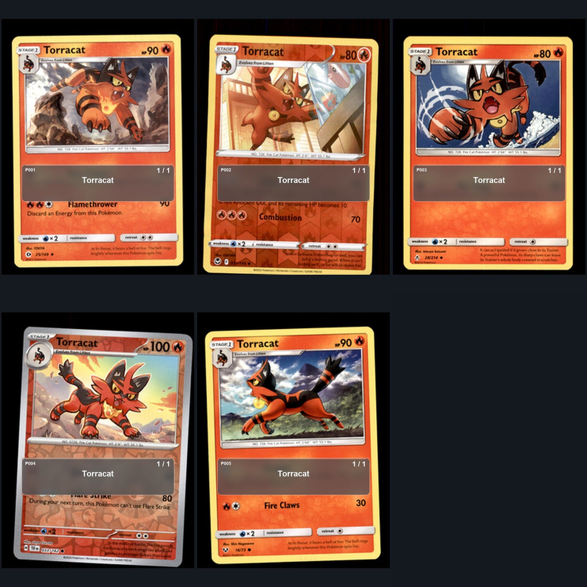 Pokemon TCG Torracat Species Collection 5 Different Cards