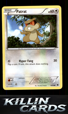 Patrat 78/98 Pokemon Common Emerging Powers Card LP