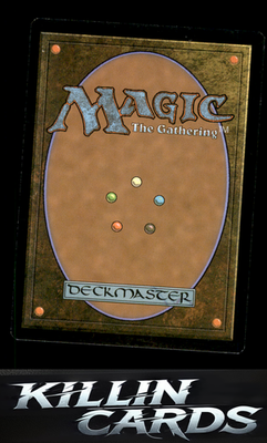 Eddytrail Hawk 12 Magic C Kaladesh Card NM