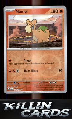 Reverse Holofoil Numel 011/091 Pokemon Common SV: Paldean Fates Card NM