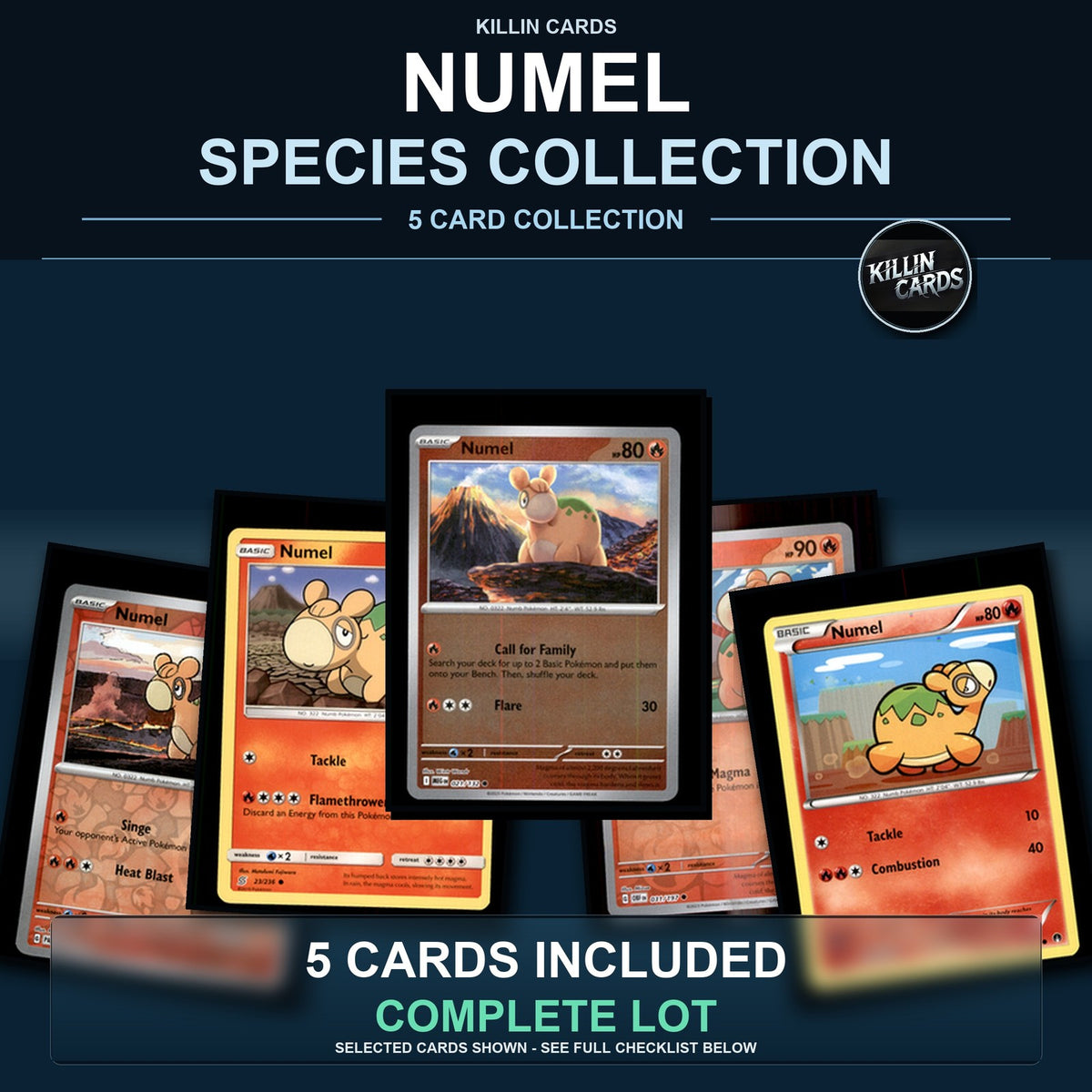 Pokemon TCG Numel Species Collection 5 Different Cards
