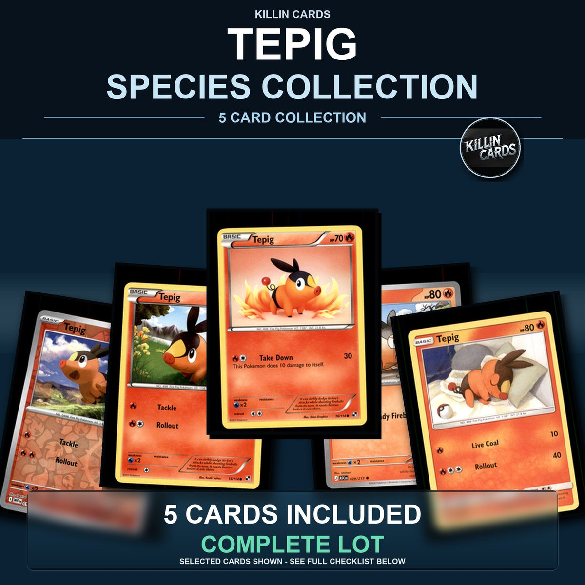 Pokemon TCG Tepig Species Collection 5 Different Cards