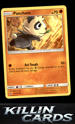 Pancham 65/131 Pokemon Common SM - Forbidden Light Card NM