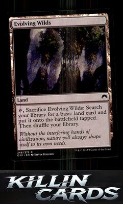 Evolving Wilds 246 Magic C Magic Origins Card NM