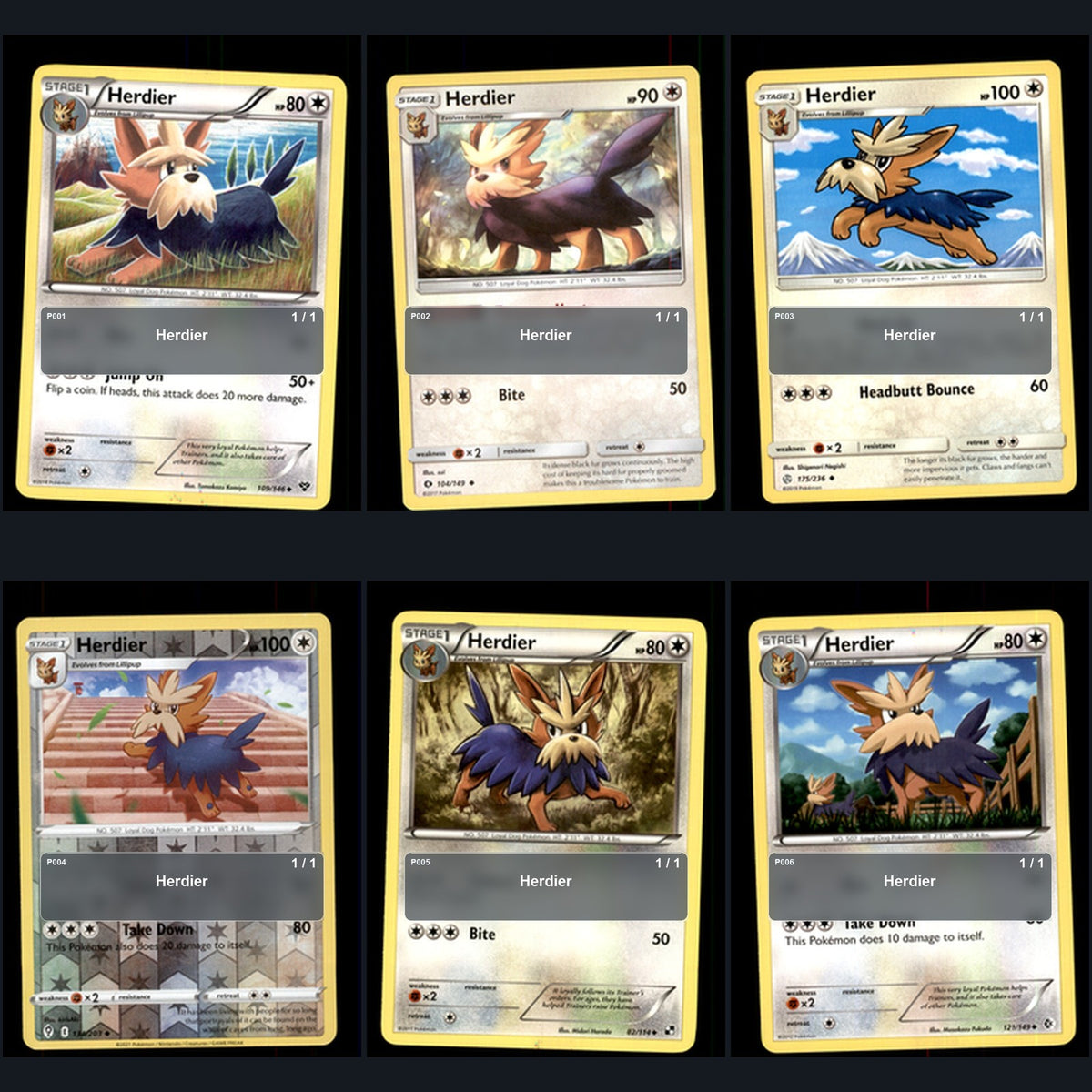 Pokemon TCG Herdier Species Collection 6 Different Cards