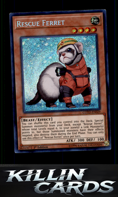 1st Edition Rescue Ferret COTD-EN029 YuGiOh Secret Rare Code of the Duelist Card