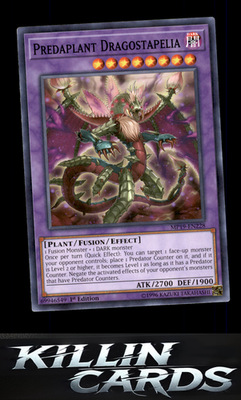 1st Edition Predaplant Dragostapelia MP19-EN228 YuGiOh Common 2019 Gold Sarcopha