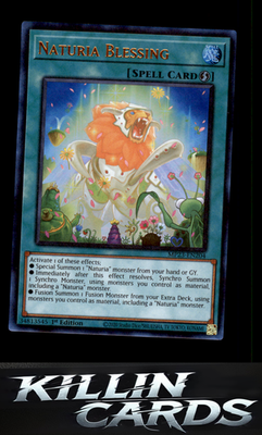 1st Edition Naturia Blessing MP23-EN204 YuGiOh Ultra Rare 25th Anniversary Tin: