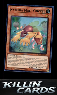 1st Edition Naturia Mole Cricket MP23-EN170 YuGiOh Super Rare 25th Anniversary T