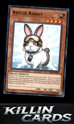 Rescue Rabbit SR04-EN020 YuGiOh Common Structure Deck: Dinosmasher's Fury Card N