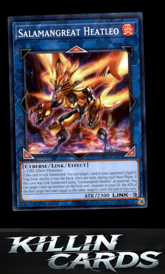 1st Edition Salamangreat Heatleo LD10-EN011 YuGiOh Common Legendary Duelists: So