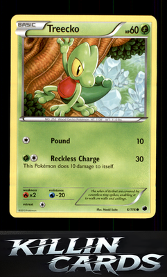 Treecko 6/116 Pokemon Common Plasma Freeze Card NM