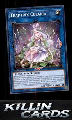 1st Edition Traptrix Cularia SDBT-EN041 YuGiOh Common Structure Deck: Beware of