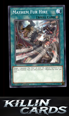 1st Edition Mayhem Fur Hire MP19-EN255 YuGiOh Common 2019 Gold Sarcophagus Tin M