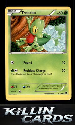 Treecko 6/116 Pokemon Common Plasma Freeze Card NM