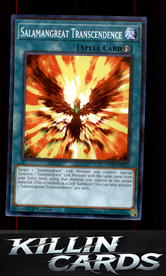 1st Edition Salamangreat Transcendence LD10-EN015 YuGiOh Common Legendary Duelis