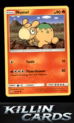 Numel 23/236 Pokemon Common SM - Unified Minds Card LP