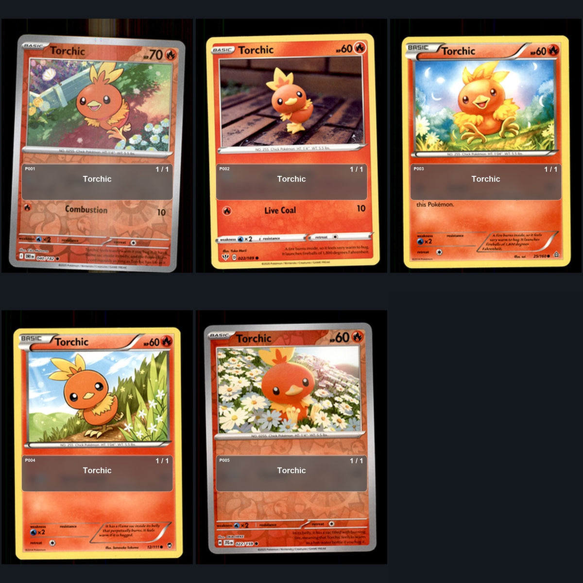 Pokemon TCG Torchic Species Collection 5 Different Cards