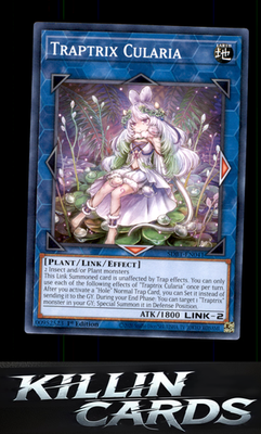 1st Edition Traptrix Cularia SDBT-EN041 YuGiOh Common Structure Deck: Beware of