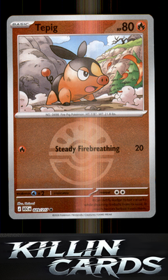 Reverse Holofoil Tepig (Friend Ball) 029/217 Pokemon Common ME: Ascended Heroes