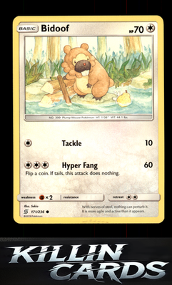 Bidoof 171/236 Pokemon Common SM - Unified Minds Card NM