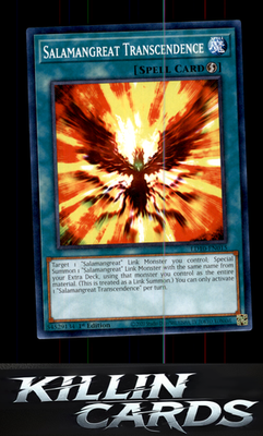 1st Edition Salamangreat Transcendence LD10-EN015 YuGiOh Common Legendary Duelis