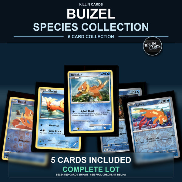 Pokemon TCG Buizel Species Collection 5 Different Cards
