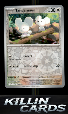 Reverse Holofoil Tandemaus - 073/091 073/091 Pokemon Common SV: Paldean Fates Ca