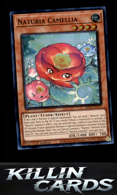 1st Edition Naturia Camellia MP23-EN171 YuGiOh Super Rare 25th Anniversary Tin: