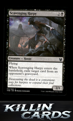 Scavenging Harpy 114 Magic C Theros Beyond Death Card NM