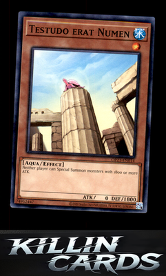 Testudo erat Numen OP21-EN014 YuGiOh Common OTS Tournament Pack 21 Card NM
