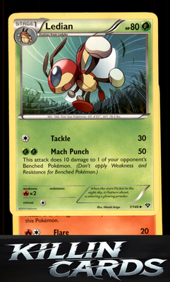 Ledian 7/146 Pokemon Uncommon XY Base Set Card NM