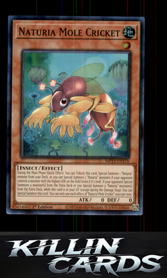 1st Edition Naturia Mole Cricket MP23-EN170 YuGiOh Super Rare 25th Anniversary T
