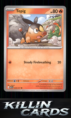 Tepig 029/217 Pokemon Common ME: Ascended Heroes Card NM