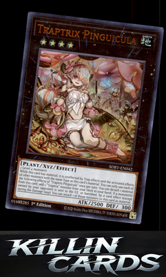 1st Edition Traptrix Pinguicula SDBT-EN042 YuGiOh Ultra Rare Structure Deck: Bew