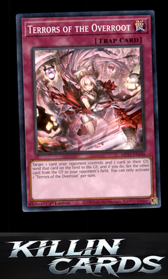 1st Edition Terrors of the Overroot MP23-EN146 YuGiOh Common 25th Anniversary Ti