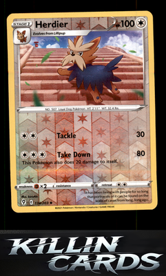 Reverse Holofoil Herdier 134/203 Pokemon Uncommon SWSH07: Evolving Skies Card NM
