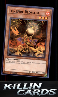 1st Edition Lonefire Blossom SDBT-EN013 YuGiOh Common Structure Deck: Beware of