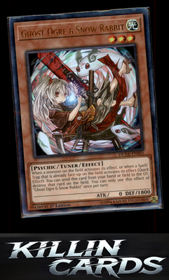 1st Edition Ghost Ogre & Snow Rabbit DUDE-EN001 YuGiOh Ultra Rare Duel Devastato