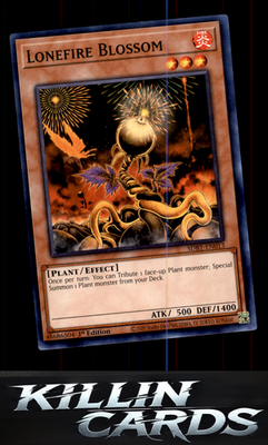 1st Edition Lonefire Blossom SDBT-EN013 YuGiOh Common Structure Deck: Beware of